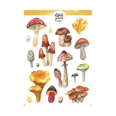 Tarra-arkki, Wild Pencil Studio: Mushrooms