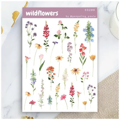 Tarra-arkki, Penpaling Paula: Wildflowers