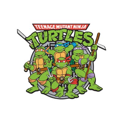 Vinyylitarra, Turtles