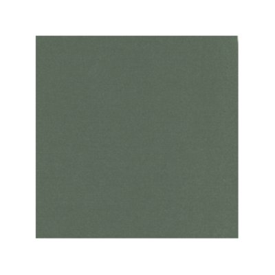 Card Deco cardstock 12x12":  basil green
