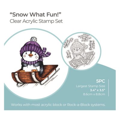 Leimasinsetti, Crafter's Companion: Snow what fun