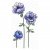 Impression Obsession -leimasimet: Anemone
