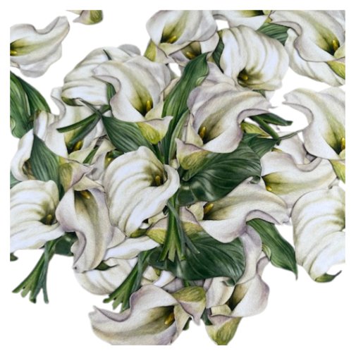 Leikekuvat, DMC: Lilies