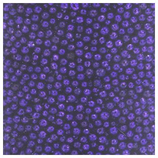 Caviar beads -minihelmet: Purple