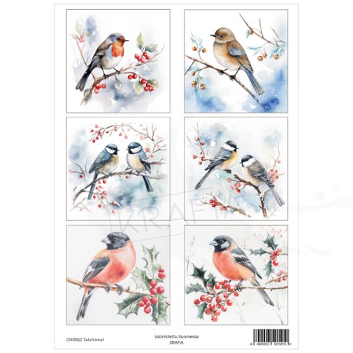 Topper sheet A4, Krafia: Winter birds