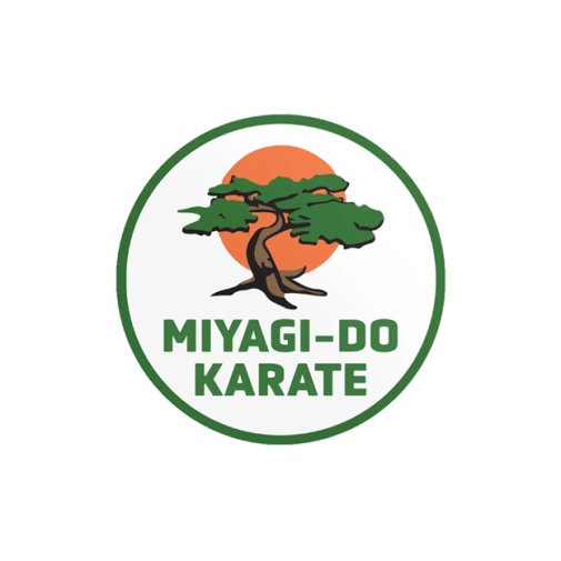 Vinyylitarra, Karate Kid: Miyagi-Do Karate
