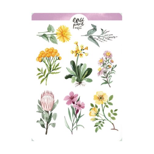 Tarra-arkki, Wild Pencil Studio: Flowers