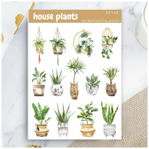 Tarra-arkki, Penpaling Paula: House plants