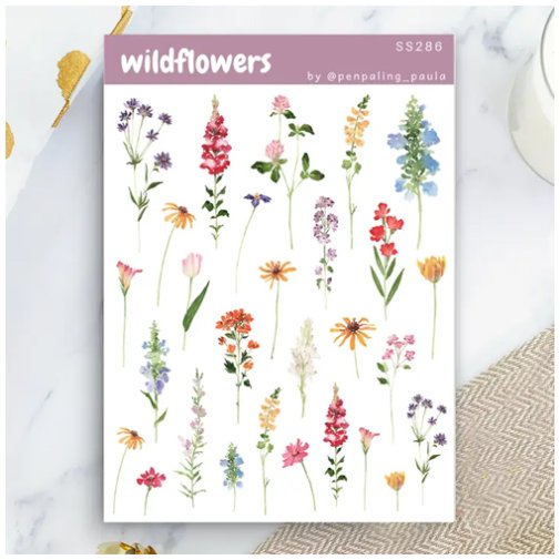 Tarra-arkki, Penpaling Paula: Wildflowers