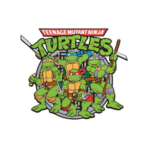 Vinyylitarra, Turtles