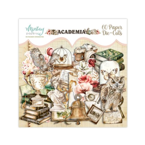 Leikekuvat, Mintay: Academia