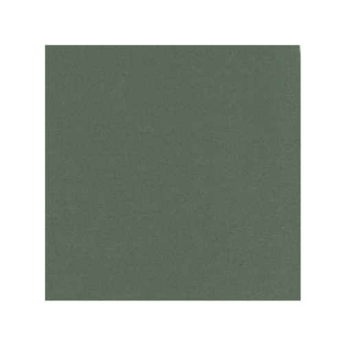 Card Deco cardstock 12x12\":  basil green