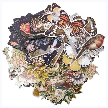 Leikekuvat, Tim Holtz: Botanical