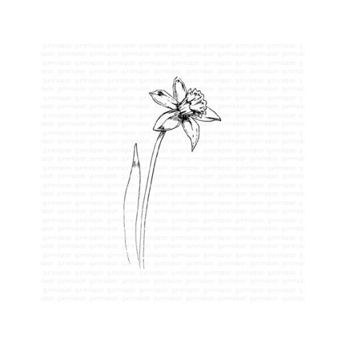 Leimasin, Gummiapan: Daffodil - narsissi