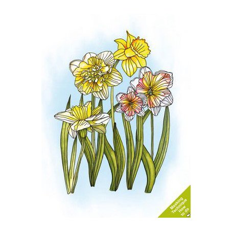 Stamp set, Craft Emotions: Daffodils