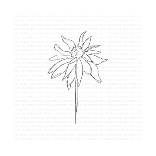 Gummiapan -leimasin: Doodled coneflower