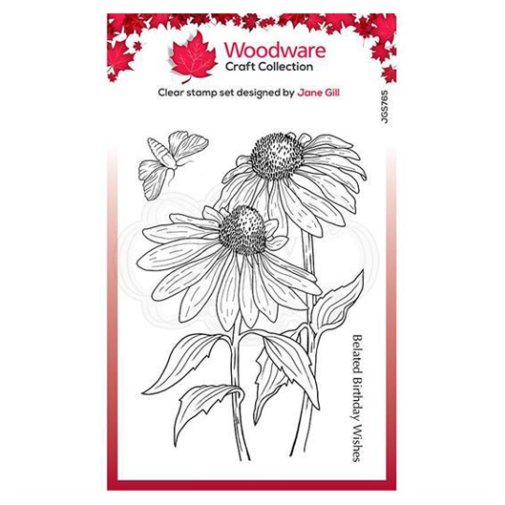 Leimasinsetti A6, Woodware: Echinacea and Moth - kukat