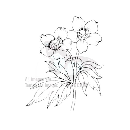 Magenta-leimasin: Flower Duo - kukat