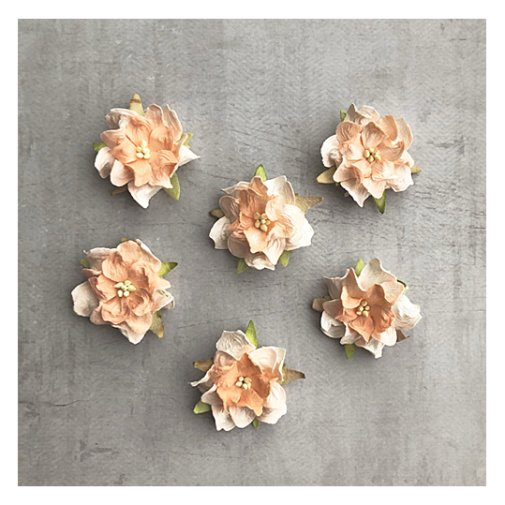 Paperikukat: gardenia - persikka, 6 kpl