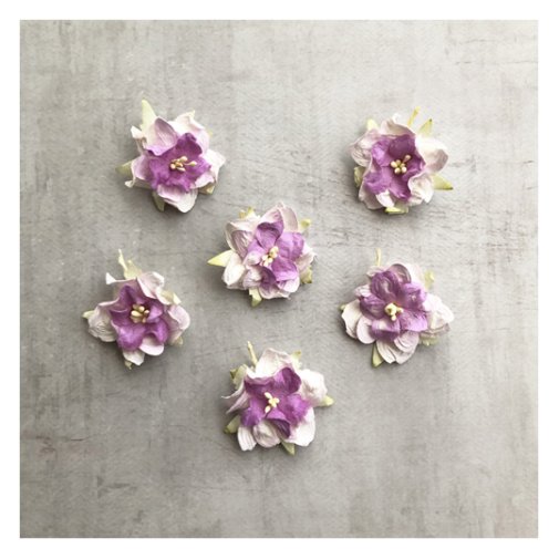 Paperikukat: gardenia - violetti, 6 kpl