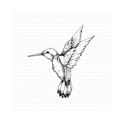 Gummiapan -leimasin: Hummingbird - lintu