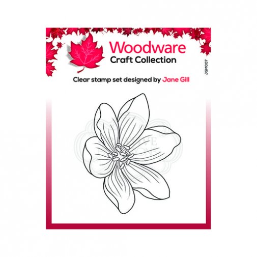 Leimasin, Woodware: Mini Garden Spray