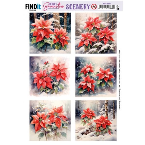 Kuva-arkki A4: Poinsettia - neliö
