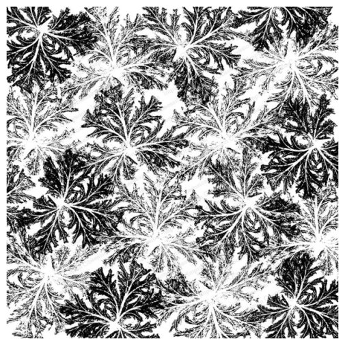 IO Cover-a-Card stamp: Shaded Leaf