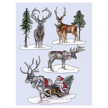 Stamp set A5, Craft Emotions: Sleigh with Santa