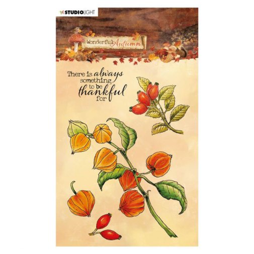 Leimasinsetti A6, Studiolight: Wonderful Autumn - oksat