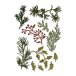 Sizzix Thinlits die set: Holiday Greens, mini